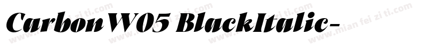 CarbonW05 BlackItalic字体转换